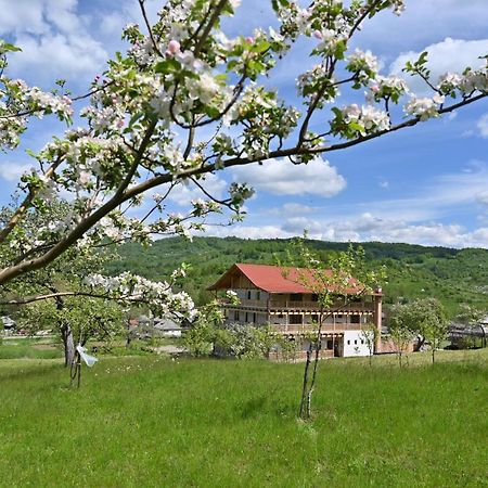 Pensiunea Plai Strabun Strîmtura Exteriér fotografie