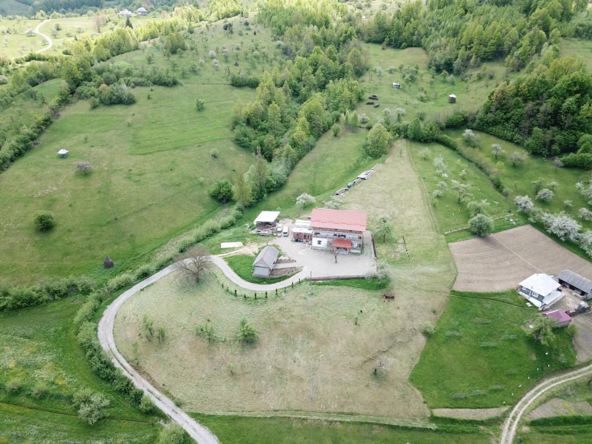 Pensiunea Plai Strabun Strîmtura Exteriér fotografie