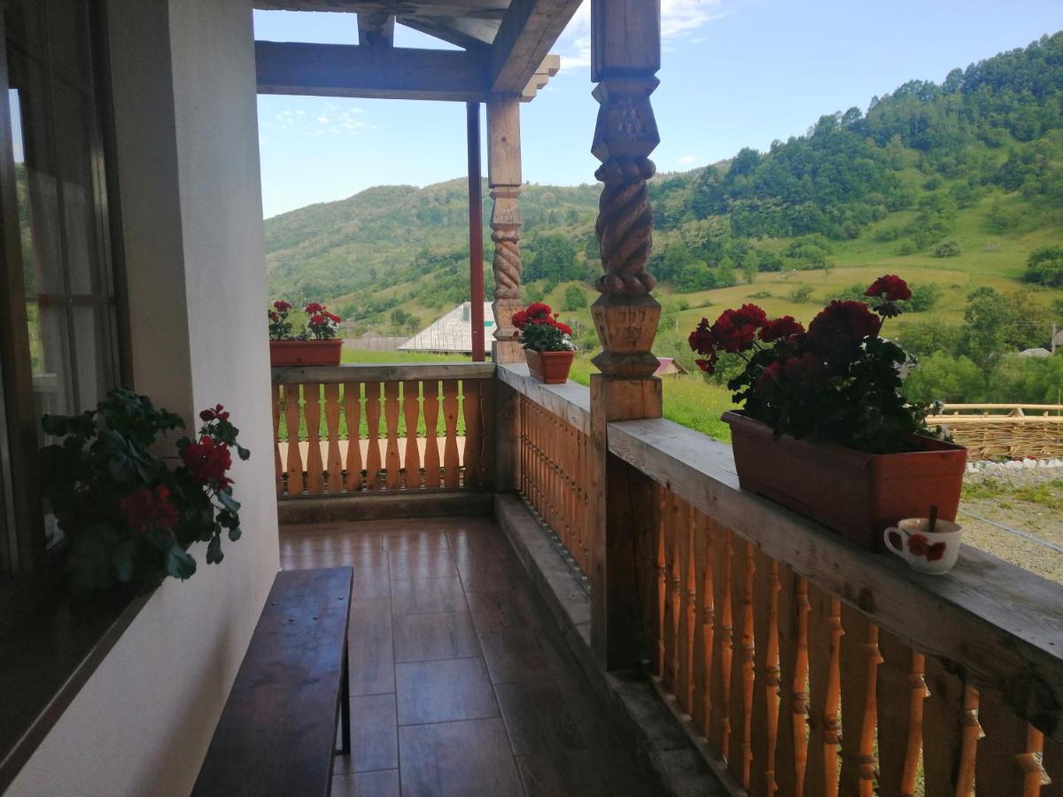 Pensiunea Plai Strabun Strîmtura Exteriér fotografie
